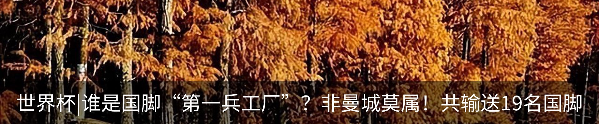 行业资讯